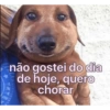 Figurinhas da gabi  13