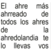 Textos brat frases 12