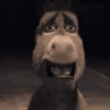 BURRO SHREK 7