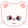 SKZOO | CRY 4