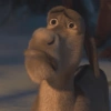 BURRO SHREK 8