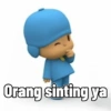 CoyHoy pocoyo v2 12