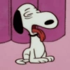 Snoopy pra qlqr situação 🤪❤️ 10