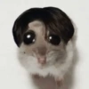 🐀 Sad Rat 🐀🐀 Meme 🐀 18