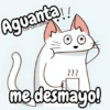 Flork michi gato pal'chat 🧦🐱 9
