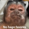 🙊🐒 Monitos 🐒🙈 13