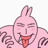 Pink korea rabbit  20