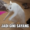 JADI GINI SAYANG