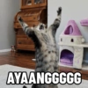 AYAANGGGGG