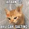 APAAN SI? AKU GAK SALTING!