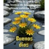 Los buenos días  5