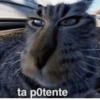 ta potente
