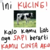 Ini KUCING! Kalo kamu liat nya SAPI berarti KAMU CINTA AKU