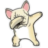 Dog salute 19