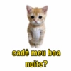 Você vai amar essas 🤣 5