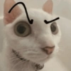 Mewing 8