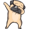 Dog salute 27