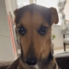 Nu vai tomando 8