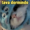 tava dormindo