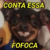 CONTA ESSA FOFOCA