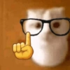 Gatos parte 1 15