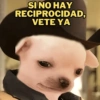 🛝🤸🏻 MEMES 2 🤸🏻‍♀️🛝 5