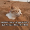 Bixos com frases 10