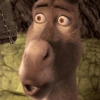 BURRO SHREK 6