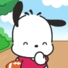 Pochacco 🖤🤍 12