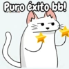 Flork michi gato pal'chat 🧦🐱 8