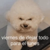 viernes de dejar todo para el lunes