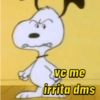 Snoopy pra qlqr situação 🤪❤️ 11