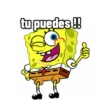 Homero 24