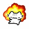 🌈🐱✨️Gatito Funny Mood✨️🐱🌈 23