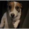 Nu vai tomando 6