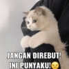 JANGAN DIREBUT! INI PUNYAKU!