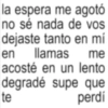 Textos brat frases 6