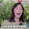 LOH KOK MENYERANG