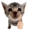 Gatos parte 1 26