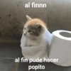 🛝🤸🏻 MEMES 2 🤸🏻‍♀️🛝 7