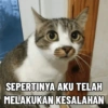 Kucing Anomali 3 8