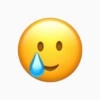 Emoji iphone 24