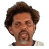Gato 24