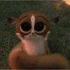Memes cute😎 15