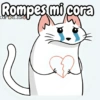 Flork michi gato pal'chat 🧦🐱 18