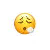 Emoji iphone 22
