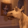 BURRO SHREK 13