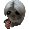 Hamster 😍 16