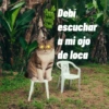 Debi escuchar a mi ojo de loca