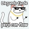 Flork michi gato pal'chat 🧦🐱 20